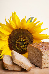 Image showing Wholemeal bread with sunflower