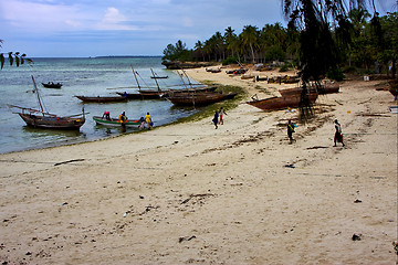 Image showing  kizimkazy bay tanzania zanzibar