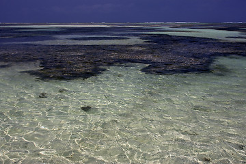 Image showing beach and coastline in zanzibar