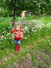 Image showing little girl swelling soap bubbls in chamomiles