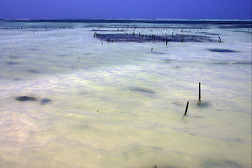 Image showing wood in water