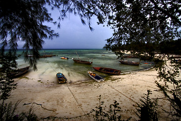 Image showing  kizimkazy bay  zanzibar