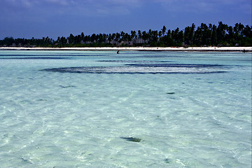 Image showing coastline in zanzibar