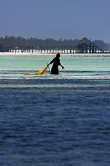 Image showing masai  women in zanzibar