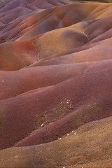 Image showing texture from mauritius island