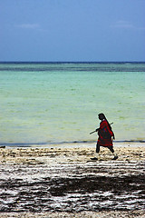 Image showing masai  men in tanzania zanzibar