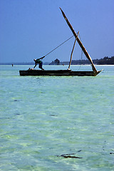 Image showing beach and man in tanzania zanzibar