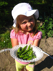 Image showing little girl propose fresh peas