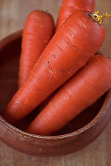 Image showing ripe carrots