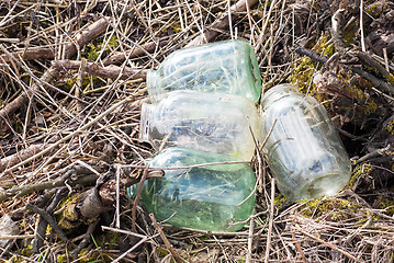 Image showing Empty glass jars near the forest