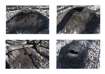 Image showing four anthill