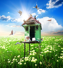 Image showing Doves over dovecote