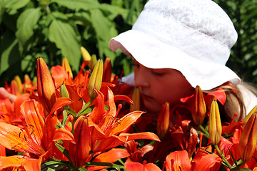 Image showing little girl smells lilies on the flower-bed