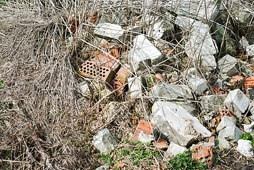 Image showing construction and demolition debris near the forest