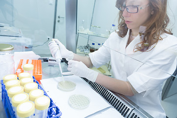 Image showing Life scientist researching in the laboratory.