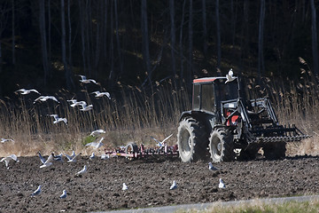 Image showing agriculture