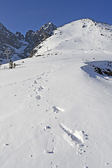 Image showing Mountains in winter