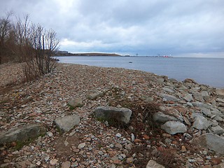 Image showing Stony coast