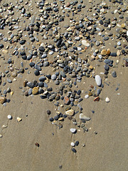 Image showing Sand background with sea pebbles