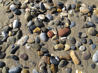 Image showing Sand background with sea pebbles