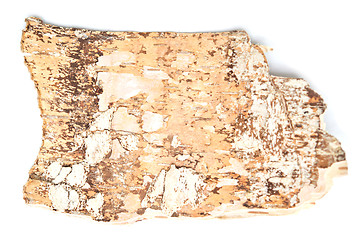 Image showing birch bark