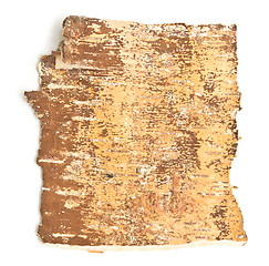 Image showing birch bark