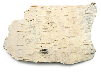 Image showing birch bark