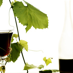 Image showing Red wine