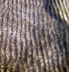 Image showing wet  in  south china sea sand   the beach  