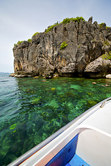 Image showing asia in the  kho phangan isles bay   rocks    thailand  and sout