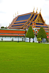 Image showing  pavement gold    temple   in   bangkok tree