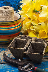 Image showing bouquet of blooming April daffodils