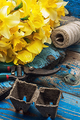 Image showing bouquet of blooming April daffodils