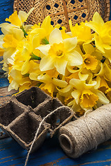 Image showing bouquet of blooming April daffodils