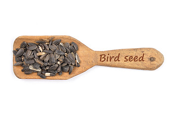 Image showing Bird seed on shovel