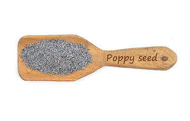 Image showing Poppy seeds on shovel