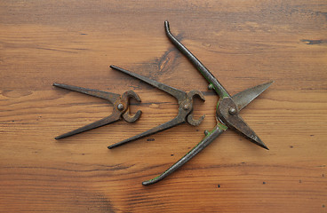 Image showing Pair of snips and pincers