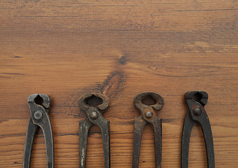 Image showing Pincers on wood