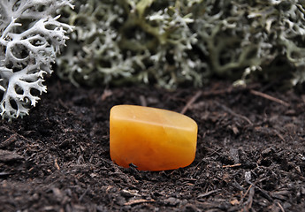 Image showing Orange calcite on forest floor