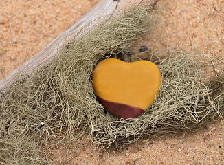 Image showing Jasper on beach