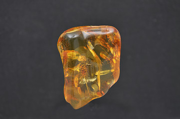 Image showing Amber  on black