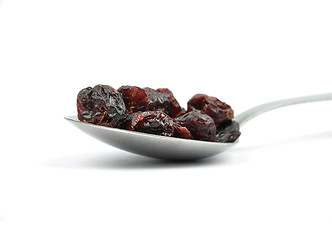 Image showing Dried cranberries on spoon