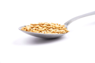 Image showing Oat on spoon