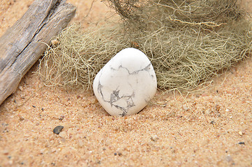 Image showing Howlite on beach