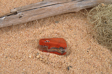 Image showing Jasper on beach