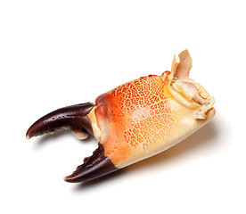 Image showing Cooked claw crab isolated on white background