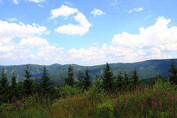Image showing jeseniky mountains (czech republic)