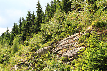 Image showing jeseniky mountains (czech republic)