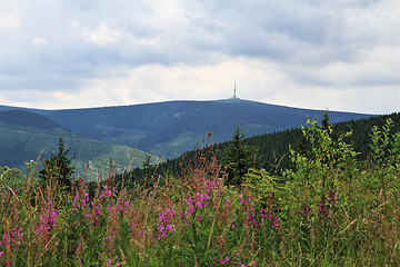 Image showing jeseniky mountains (czech republic)