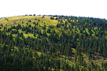 Image showing jeseniky mountains (czech republic)